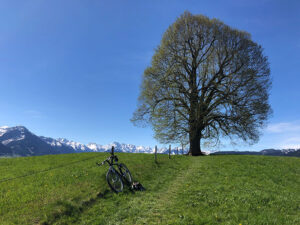 NEU! Hike + Bike in Oberstdorf